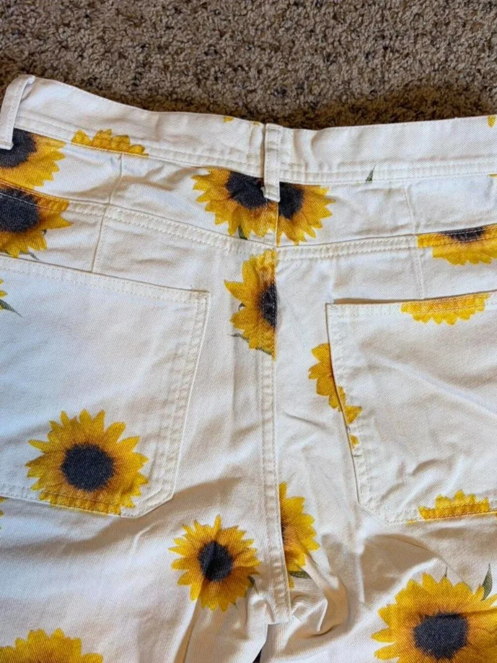Men's BDG Sunflower Print Pants